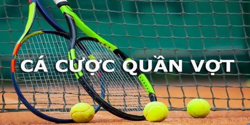 Đầu tư cược tennis từ các giải đấu chuyên nghiệp