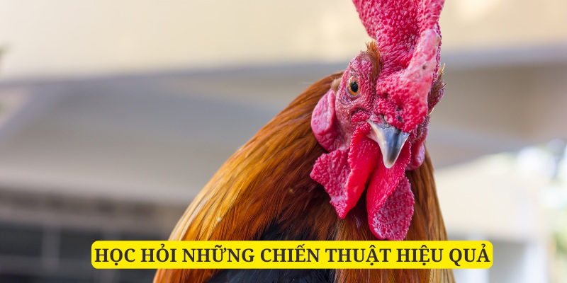 Bỏ túi những kinh nghiệm từ các chuyên gia lão làng